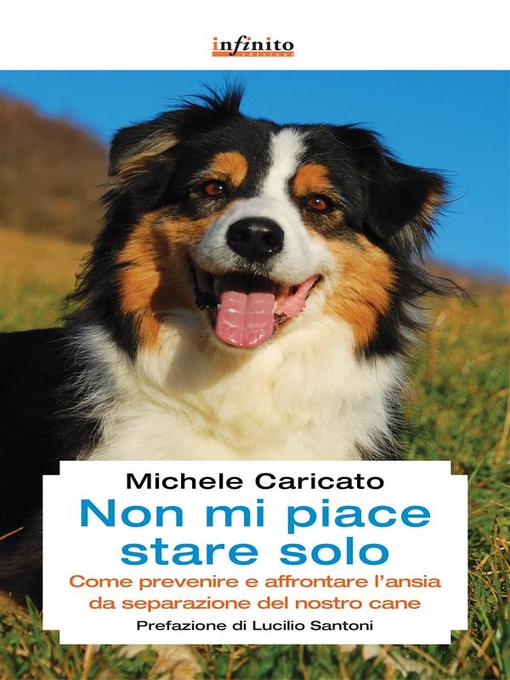 Title details for Non mi piace stare solo by Michele Caricato - Available